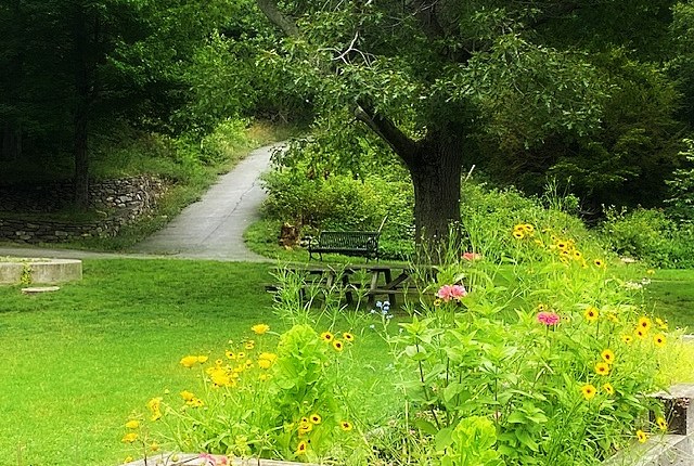 Spring Flower – Kwiat&nbsp;Wiosny