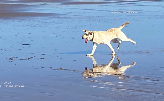 Before winter – a day of summer. Przed zimą – jeden dzień&nbsp;lata.