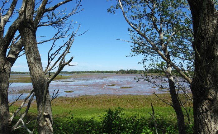 Canada’s Ocean Playground … and some
