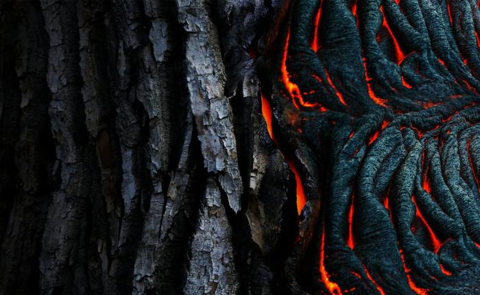 Magiczna Rzeczywistość – Słoneczne Wybrzeże (Sunshine&nbsp;Coast)