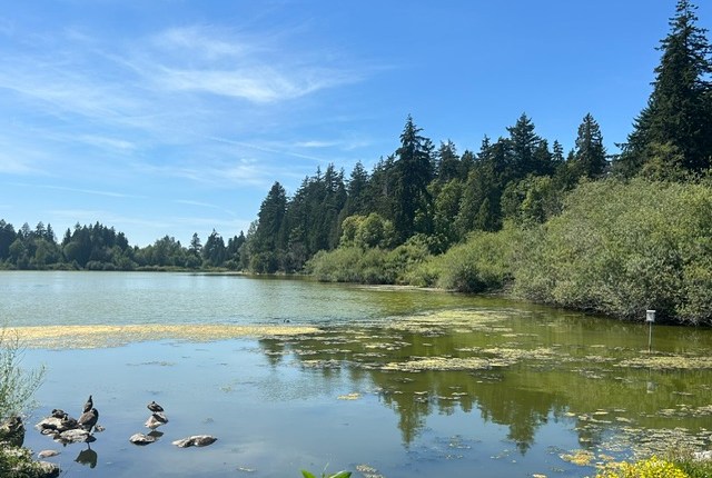Rower, kwiaty, Stanley Park, plaża. Czyli&nbsp;Vancouver.